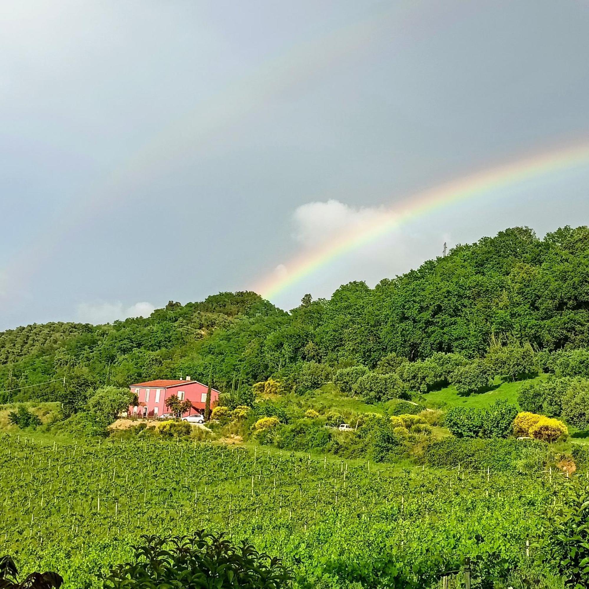 Agriturismo Campoletizia Miglianico Exterior foto